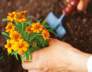 Grow your business by buying competitors